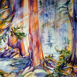 Old Growth - watercolor by Andrea Traphagen